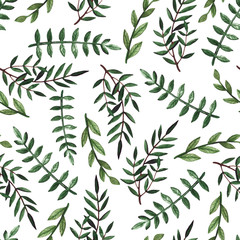 Naklejka na ściany i meble Watercolor Seamless Pattern with Wild Green Herbs