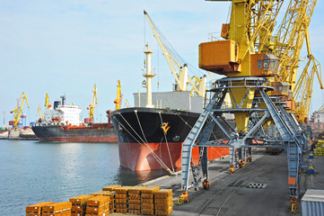 Bulk cargo ship under port crane