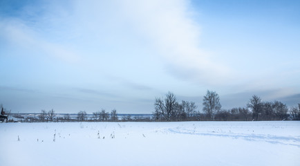 Panoramic winter landscape with snow field in countryside and trees on horizon