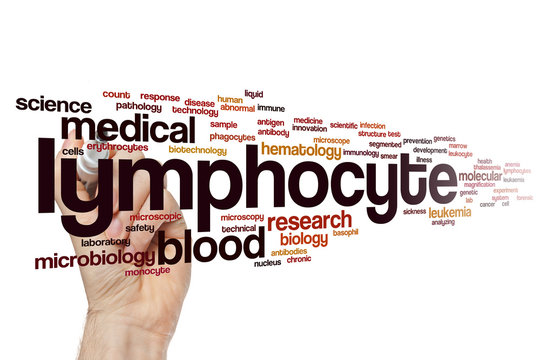 Lymphocyte word cloud