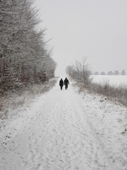 Winterwalk, couple