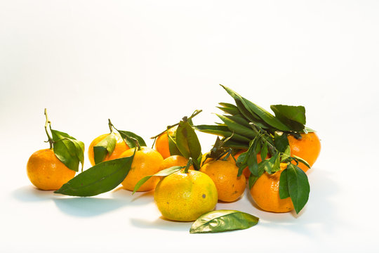 Group of tangerines with twigs and leaves on a light background