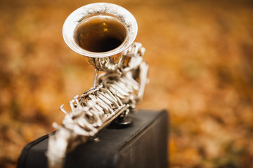 autumn scenery in the park