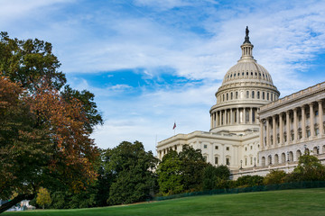 Fototapeta premium Daytime Landscape US Capitol Building Washington DC Grass Blue S