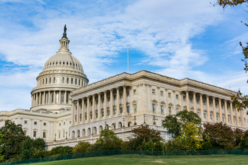 Obraz premium Daytime Landscape US Capitol Building Washington DC Grass Blue S