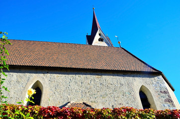 autumn Gudon South Tyrol, Italy