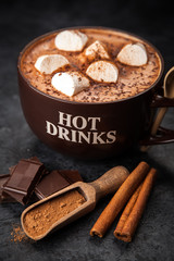 Cup of hot chocolate