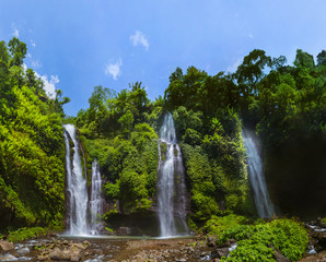 Fototapety  Wodospad Sekumpul - wyspa Bali Indonezja