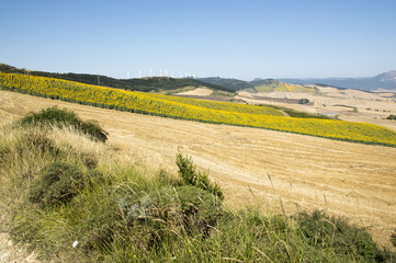 Camino de Santiago from Pamplona to Puente la Reina