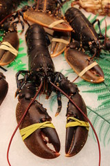 lobster