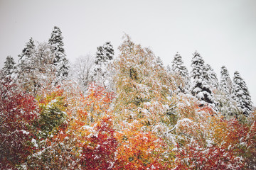 Obrazy  Jesienny krajobraz górski.