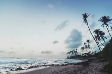 Fototapeta premium ocean beach on sunset. vintage picture