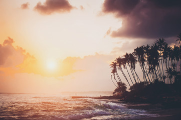 ocean beach on sunset with row palms on horizon - obrazy, fototapety, plakaty