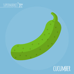 Cucumber  vector icon