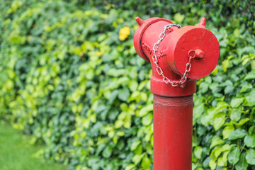 Red fire hydrant surrounded by green grass