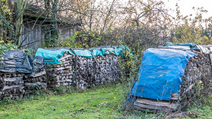 Brennholz © focus finder