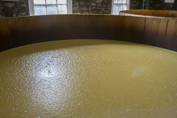 Mash in fermentation barrels