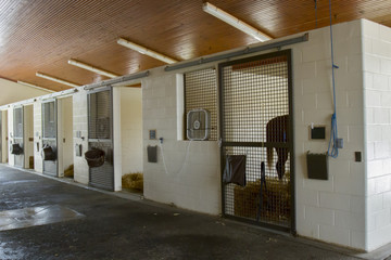 Horse in stall of equine hospital