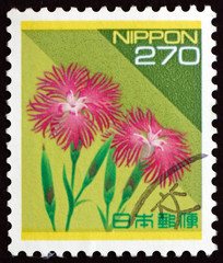 Postage stamp Japan 1994 Wild Pink, Flowering Plant