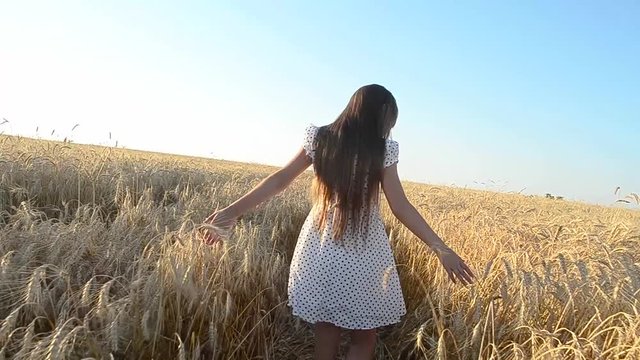 young girl is running a wheat field, touches of yellow ripe wheat, summer vacation
