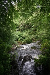 Fototapeta na wymiar Wasserfall im grünen Antrim / Nordirland 