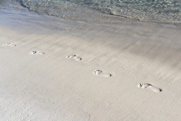 footprints in the sand on the beach