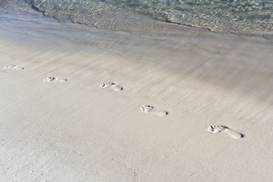 footprints in the sand on the beach