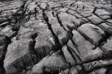 Coastal limestone rock formations, The Burren Region, Clare County, Ireland