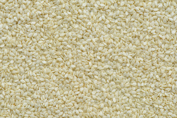 Preapared white sesame for cooking, White sesame seed background and texture