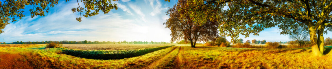 Fototapeta na wymiar Panorama einer herbstlichen Landschaft mit Feldern und Bäumen