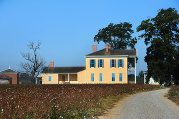 Cotton Plantation Lakeport