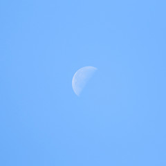 Daytime Moon