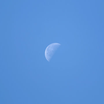 Daylight Moon