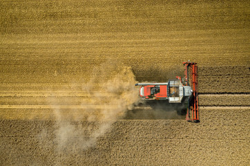 Fototapeta na wymiar Combine working on the wheat field