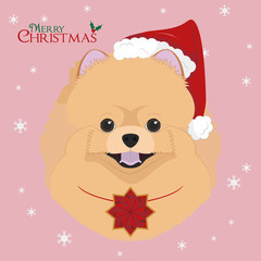 Christmas greeting card. Pomeranian dog with red Santa's hat and a Christmas ornament