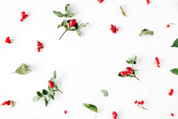 floral frame with minimal creative berry arrangement pattern on white. flat lay, top view. christmas background wallpaper.