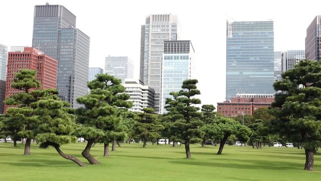 Footage pan technician Marunouchi business district with bonsai garden and wood plate , Tokyo Japan