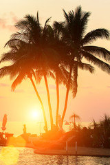 Silhouette of palm trees on the background of the tropical sea sunset.