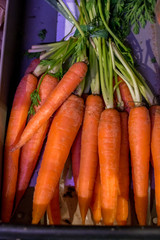 Organic Carrots, Fresh, organically grown carrots at a farmer's market - with a little raw dirt