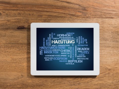 H&auml;utung