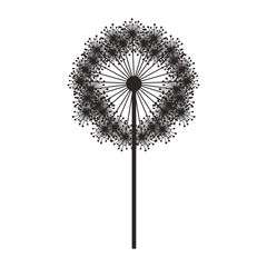silhouette dandelion with stem and pistil vector illustration