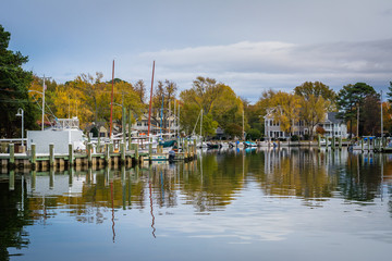 Fototapeta na wymiar Autumn color at the harbor in St. Michaels, Maryland.