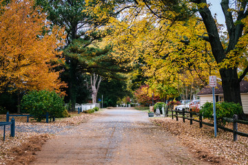 Naklejka premium Autumn color along a street in St. Michaels, Maryland.