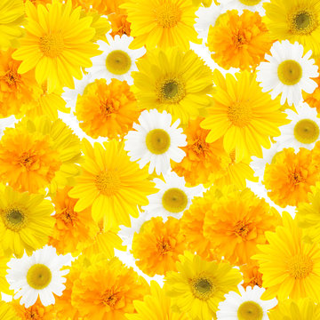 Yellow Flowers, Seamless Pattern