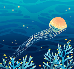 Fototapeta na wymiar Night seascape - jellifish and coral reef.