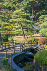 Japanese bridge in botanical garden