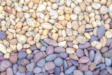 Colorful small pebbles or stone in garden with difference color.