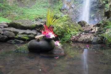 Hawaiian flowers in front of waterfall