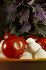 Ingredients for Caprese