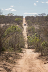 Game Drive in Land Rover - Sabi Sands Reserve, South Africa